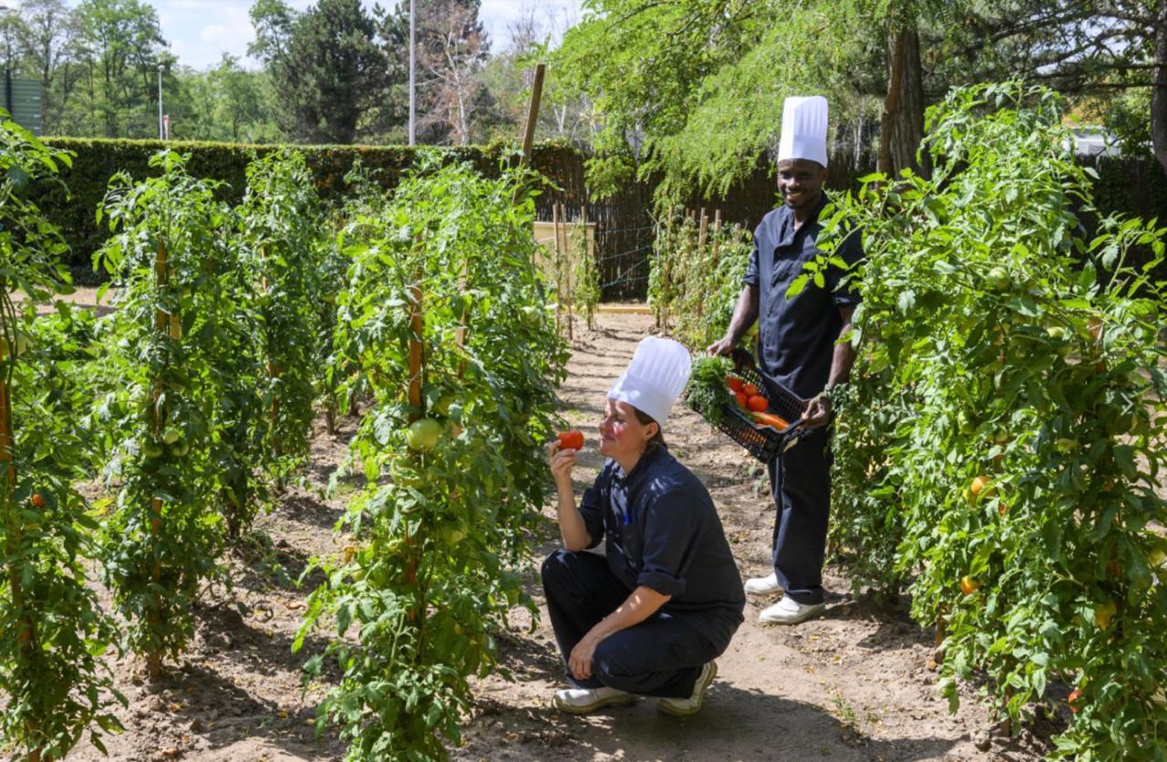 Demeures De Campagne Chemins De Sologne A Orleans Otel Dış mekan fotoğraf